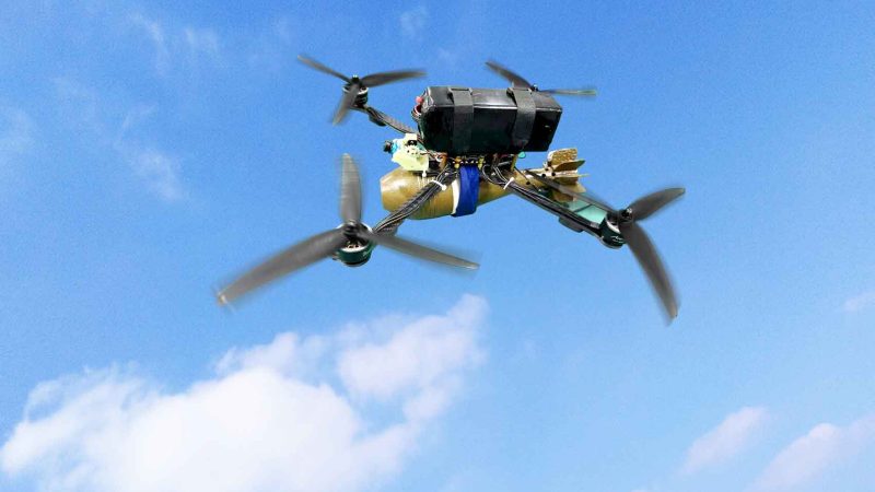 FPV